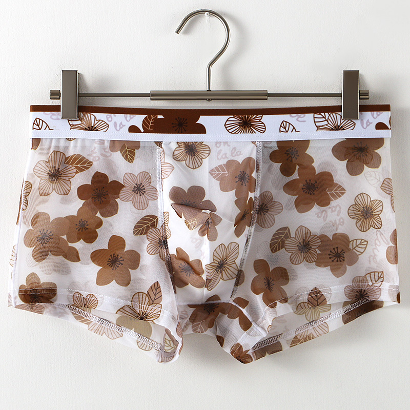 Ultra Thin Transparent Ice Sil - Mesh Sport Boxer recensione e prezzo