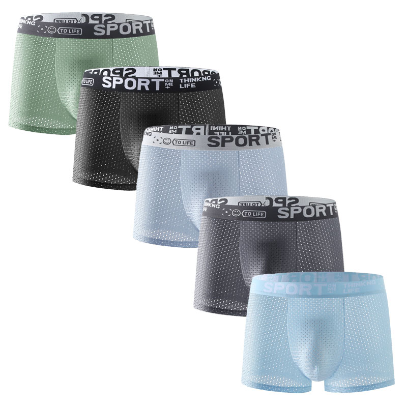 5PCS Men's Ice Silk Mesh Boxer - Mesh Sport Boxer recensione e prezzo