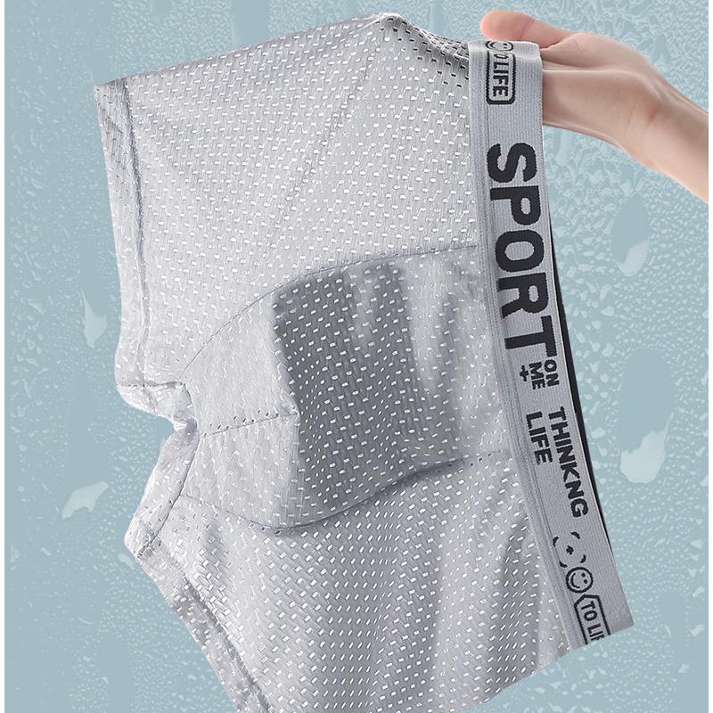 5PCS Men's Ice Silk Mesh Boxer - Mesh Sport Boxer recensione e prezzo
