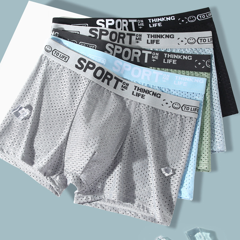 5PCS Men's Ice Silk Mesh Boxer - Mesh Sport Boxer recensione e prezzo