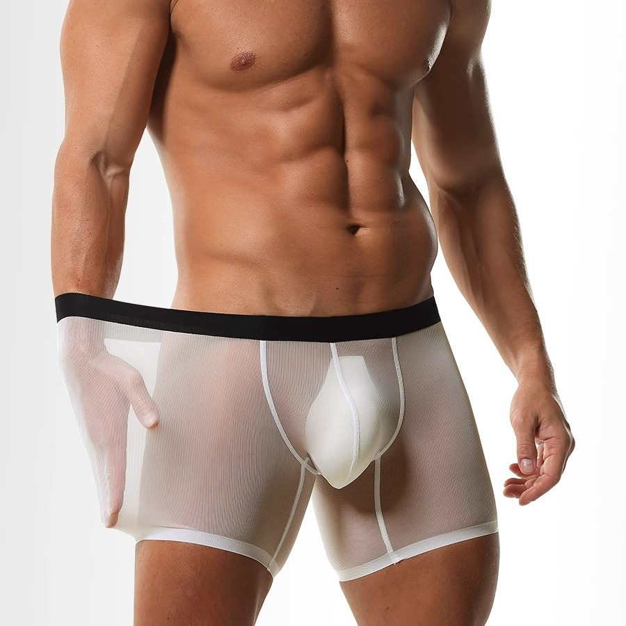 Ice Silk Sheer Mesh Long Leg B - Long Leg Trunk Men recensione e prezzo