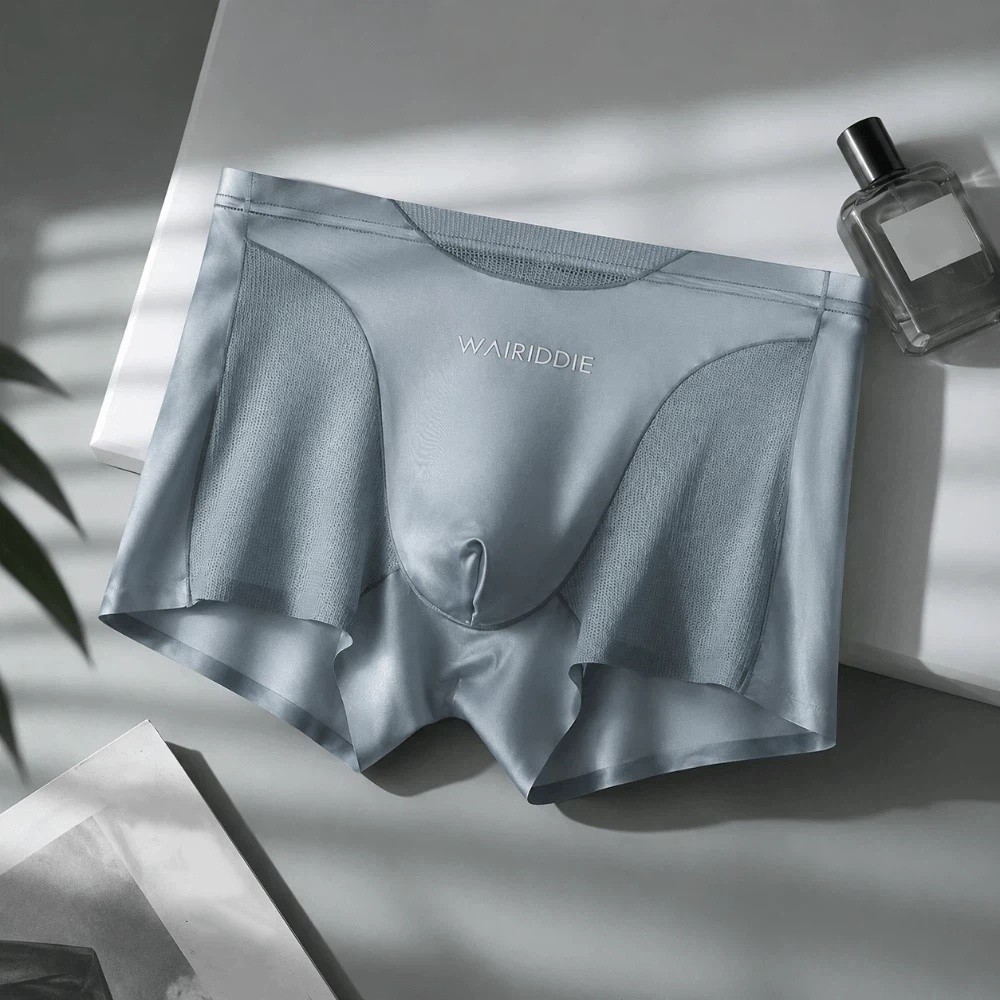 Simple Mesh Ice Silk Underwear - Mesh Sport Boxer recensione e prezzo