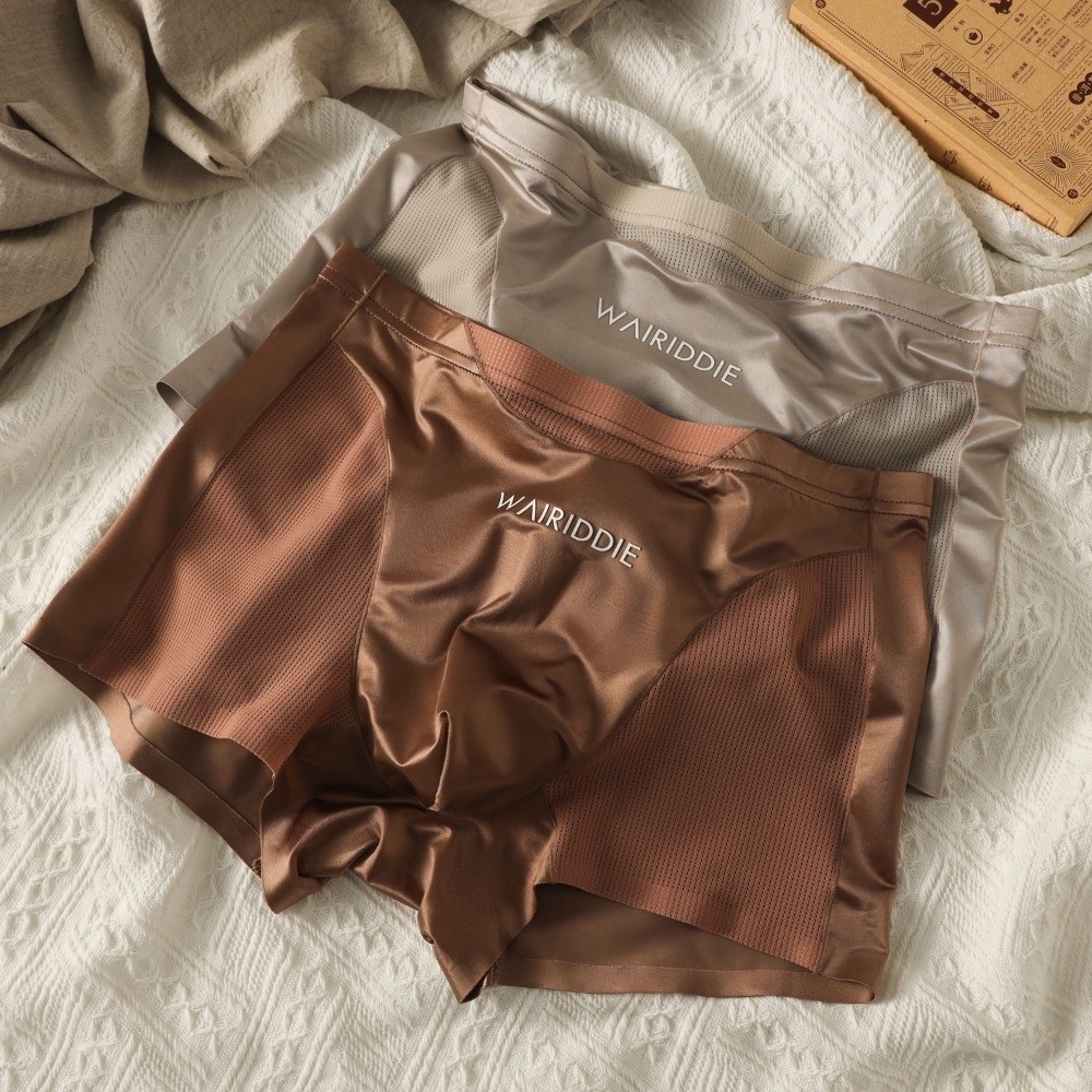 Simple Mesh Ice Silk Underwear - Mesh Sport Boxer recensione e prezzo